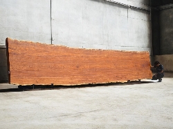 Makha Wood (MA.506)